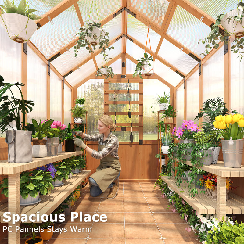 DSNAPE 8 X 6 Ft Wooden Greenhouse, Walk-in Green House With